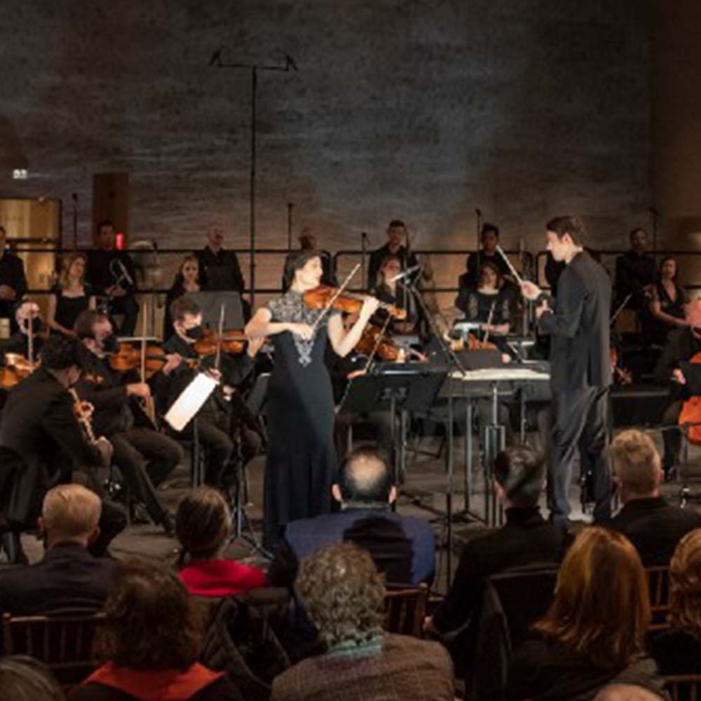 Michelle Ross, Violinist and Composer